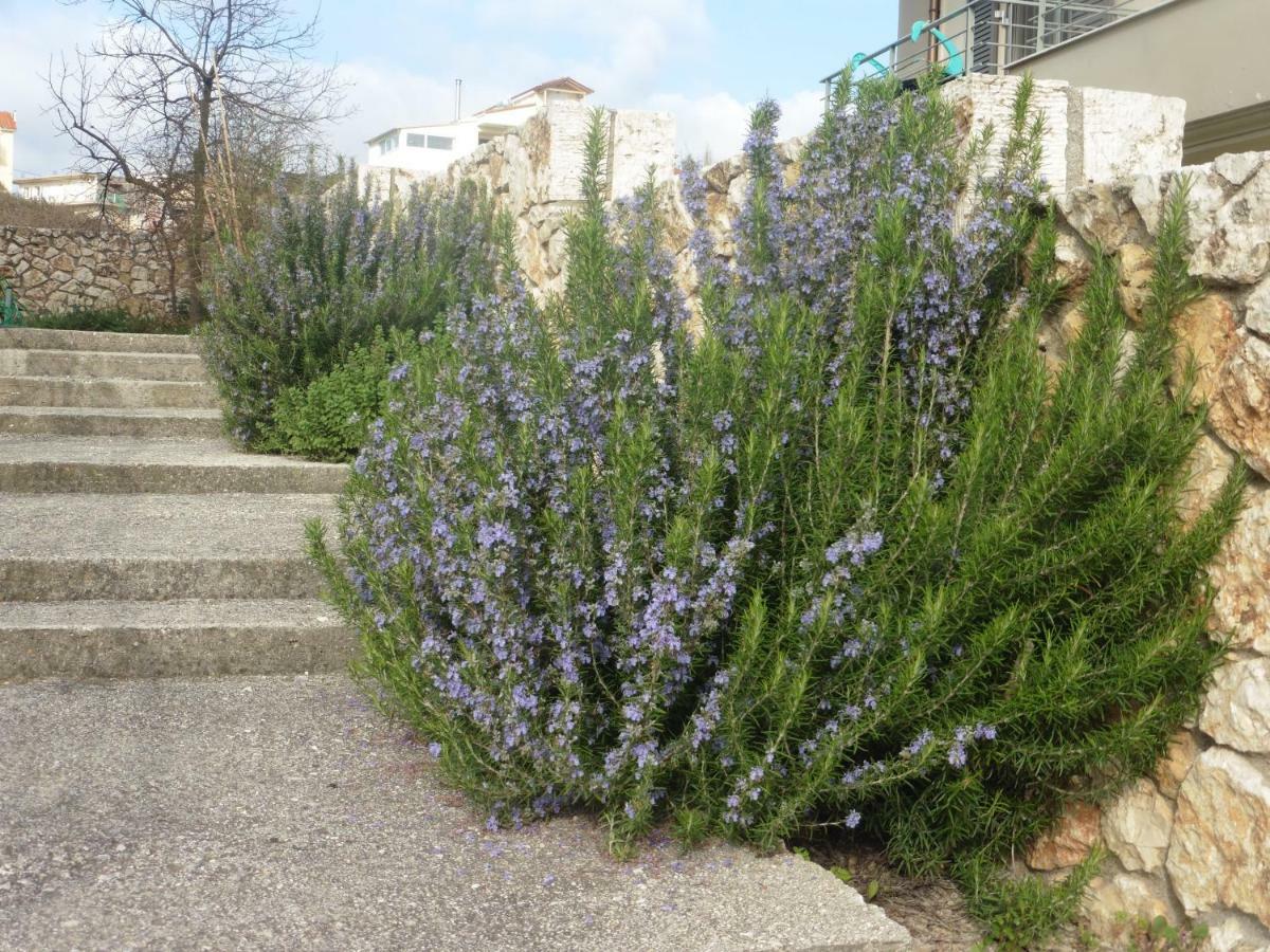 ליקסורי Lotus Sea View Apartments מראה חיצוני תמונה